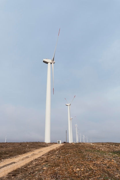 Kostenloses Foto seitenansicht vieler windkraftanlagen im feld, die energie erzeugen
