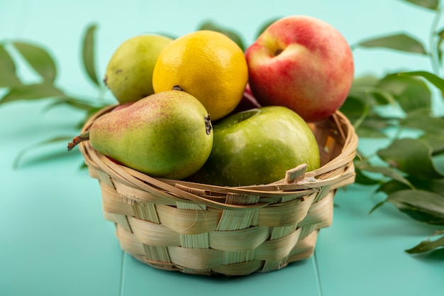 Seitenansicht von Früchten als Birnen-Zitronen-Apfel-Pfirsich im Korb mit Blättern auf blauem Hintergrund