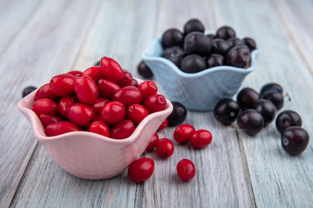 Seitenansicht von Früchten als Kornelkirsche und Schlehenbeeren in Schalen und auf hölzernem Hintergrund