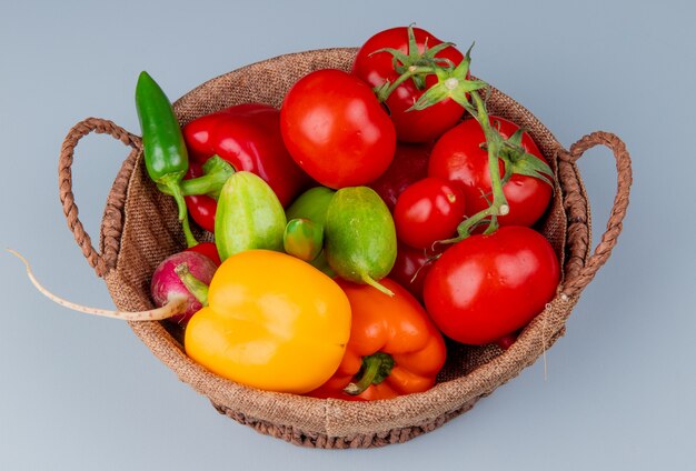 Seitenansicht von Gemüse als Pfeffer-Tomaten-Rettichgurke auf blauem Hintergrund