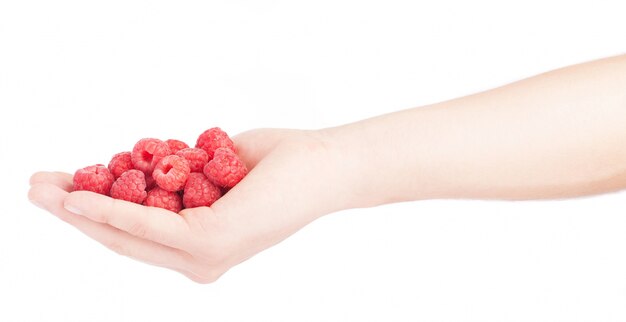 Seitenansicht von Hand mit leckeren Himbeeren