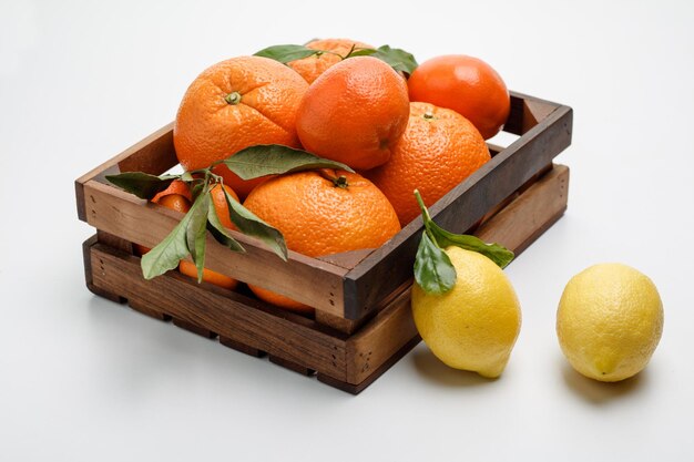 Seitenansicht von Zitrusfrüchten als Orangen-Mandarinen-Kumquat in Schachtel mit Zitronen auf weißem Hintergrund