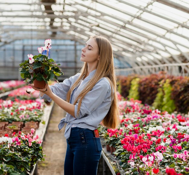 Seitenansichtfrau, die Blumentopf überprüft