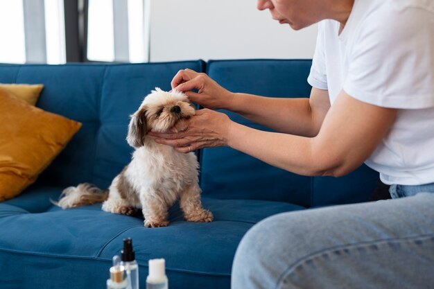 Seitenansichtfrau, die Hund putzt