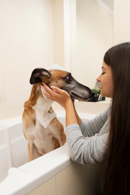 Seitenansichtfrau, die Hund wäscht