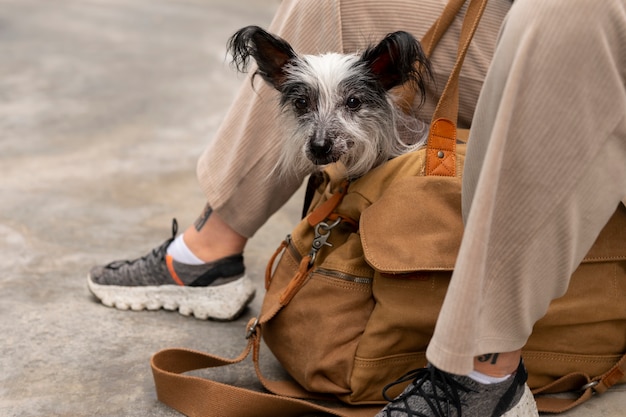 Kostenloses Foto seitenansichtfrau, die welpen in der tasche trägt