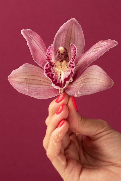 Kostenloses Foto seitenansichthand, die orchidee hält