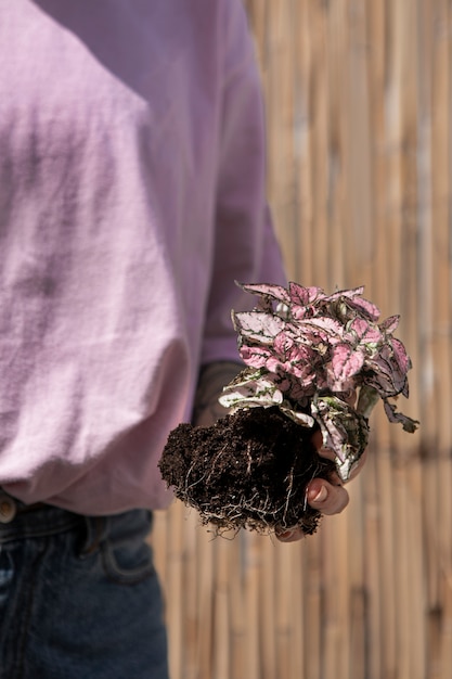 Kostenloses Foto seitenansichthand, die rosa blume hält