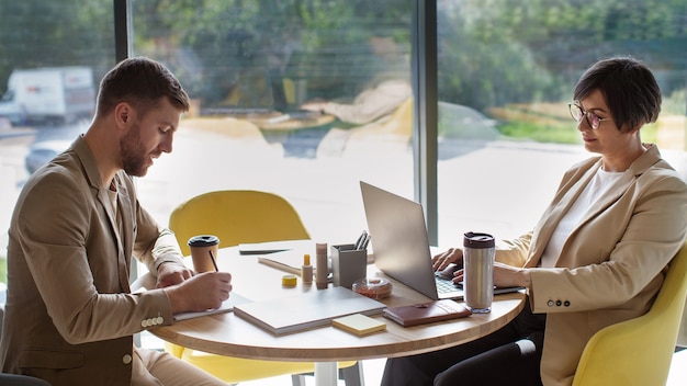 Seitenansichtkollegen, die in einem gemütlichen Büro arbeiten