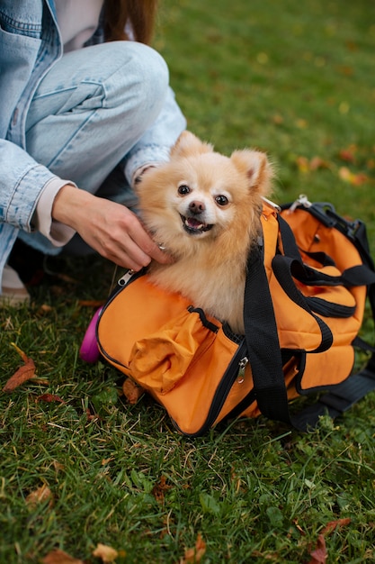 Seitenansichtmädchen mit nettem Hund draußen