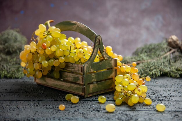 Seitliche Nahaufnahme weiße Trauben appetitliche weiße Trauben in Holzkiste auf grauem Tisch neben Fichtenzweigen