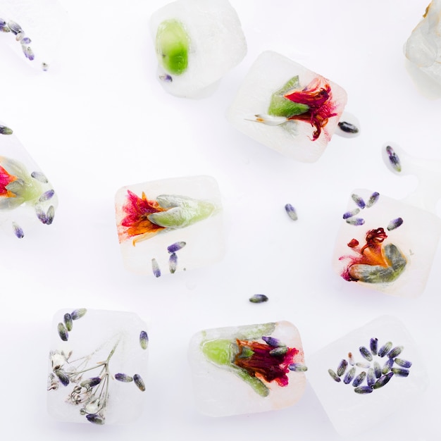 Selbst gemachte dekorative Eiswürfel mit Blumen