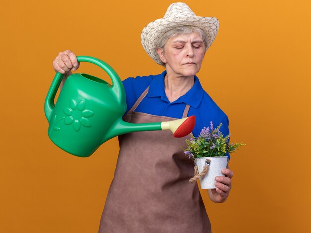 Selbstbewusste ältere Gärtnerin mit Gartenhut, die Blumen im Blumentopf mit Gießkanne gießt