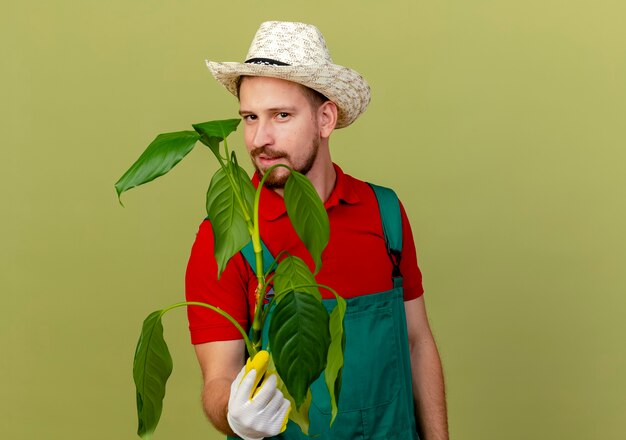 Selbstbewusster junger hübscher slawischer Gärtner in der Uniform und im Hut, der Gärtnerhandschuhe hält, die Pflanze lokalisiert auf olivgrüner Wand mit Kopienraum halten