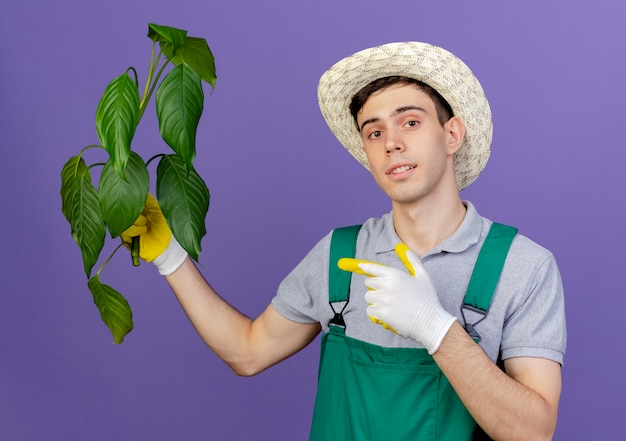 Selbstbewusster junger männlicher gärtner mit gartenhut und handschuhen hält und zeigt an der pflanze