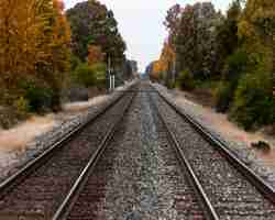 Kostenloses Foto selektive fokusaufnahme von bahngleisen inmitten grüner und gelber bäume