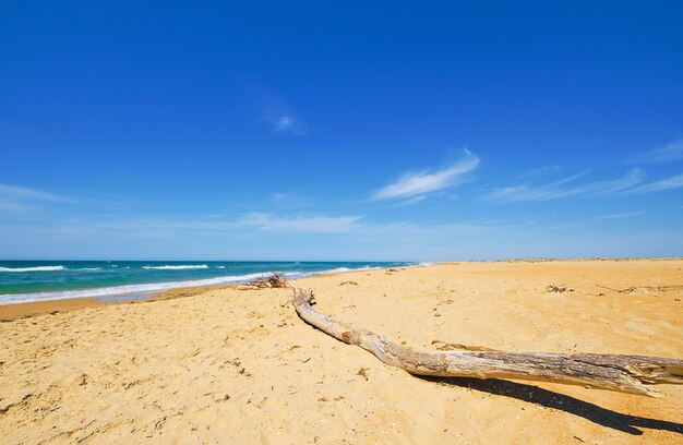 Selektiver Fokus auf Holzklotz, der auf dem Sand liegt. Sandiger wilder Strand, blaues Meer mit Wolken und blauem Himmel an der Küste. Schöne Naturlandschaft des Ozeans im Freien,