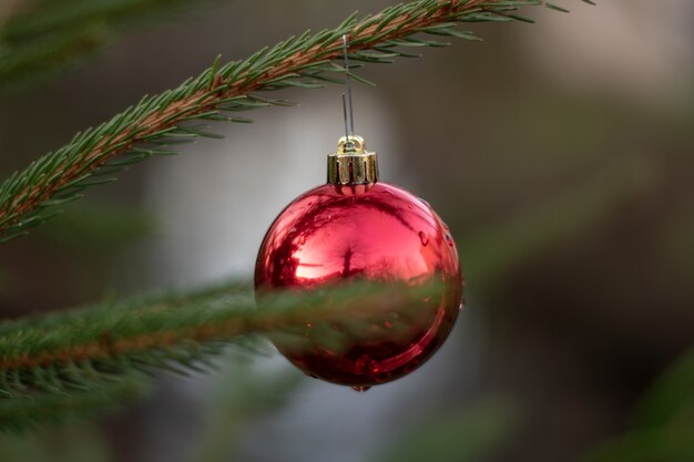 Selektiver Fokusschuss einer roten Weihnachtsverzierung, die an einem Tannenbaum hängt