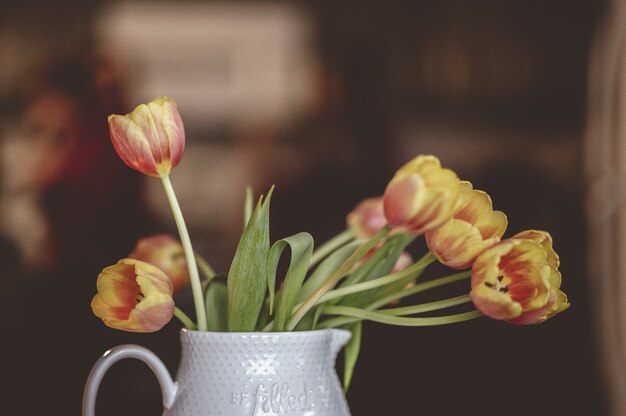 Selektiver Nahaufnahmefoto der Nahaufnahme von gelben und roten Tulpen in einer weißen Keramikvase