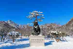 Kostenloses Foto seoraksan national park im winter lage auf gangwon, südkorea