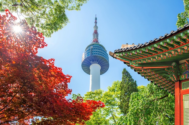 Kostenloses Foto seoul tower mit gyeongbokgung-dach und rotem herbstahornblatt am namsan-berg in südkorea