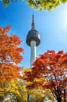 Kostenloses Foto seoul tower und rote herbstahornblätter am namsan-berg in südkorea