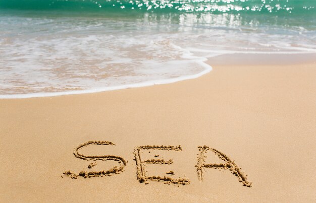 Setzen Sie Hintergrund mit dem Wortmeer auf den Strand, das in Sand geschrieben wird