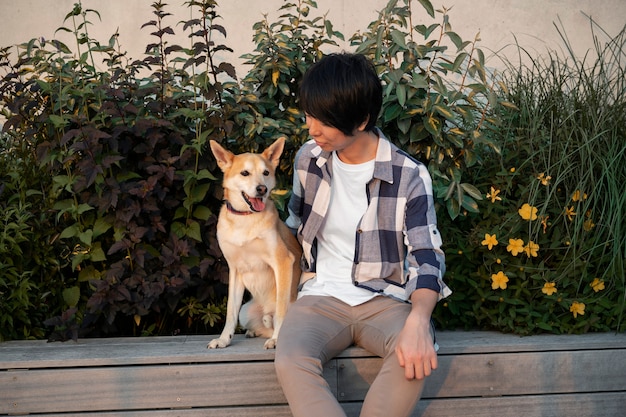 Kostenloses Foto shiba inu-hund, der einen spaziergang macht