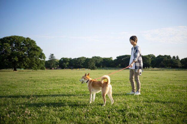 Shiba Inu-Hund, der einen Spaziergang macht