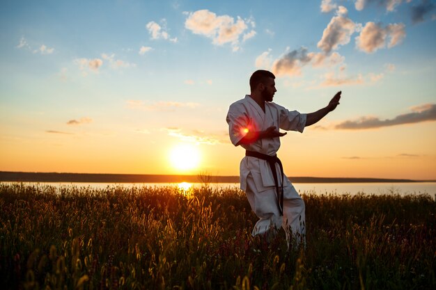 Silhouette des sportlichen Mannes, der Karate im Feld bei Sonnenaufgang trainiert.