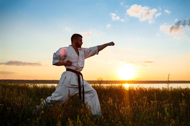 Silhouette des sportlichen Mannes, der Karate im Feld bei Sonnenaufgang trainiert.