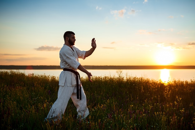 Kostenloses Foto silhouette des sportlichen mannes, der karate im feld bei sonnenaufgang trainiert.