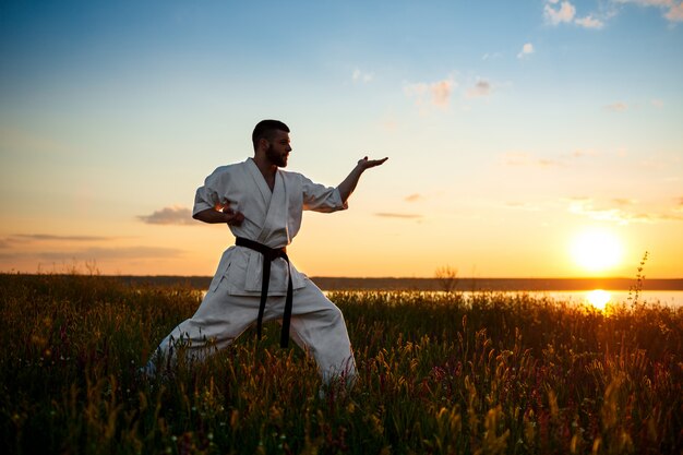 Silhouette des sportlichen Mannes, der Karate im Feld bei Sonnenaufgang trainiert.