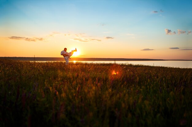 Silhouette des sportlichen Mannes, der Karate im Feld bei Sonnenaufgang trainiert.