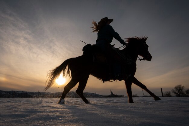 Silhouette eines Cowgirls auf einem Pferd