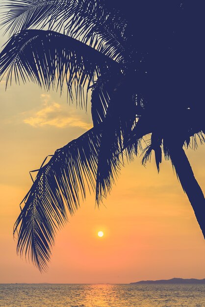 Silhouetten der Palmen mit Sonne Hintergrund