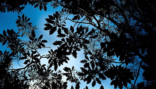 Kostenloses Foto silhouettenbaum im hintergrund beleuchtet von der von ki generierten sonnenuntergangsschönheit