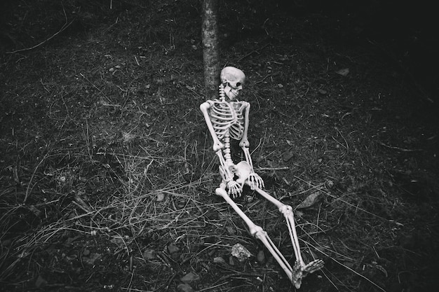 Sitzendes Skelett lehnte sich auf Baum im dunklen Wald