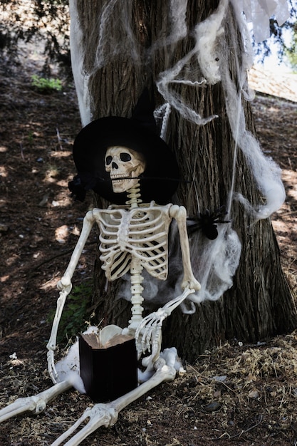 Kostenloses Foto skelett im hexenhut, der nahe baum sitzt