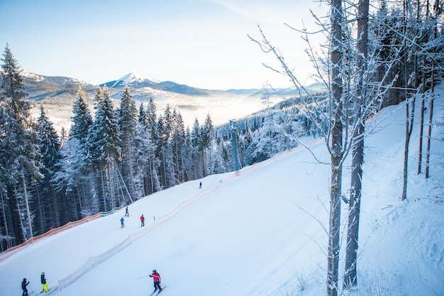 Skifahrer auf dem Skilift fahren im Skigebiet mit wunderschönen Wäldern