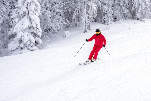 Skifahrer in einem roten Kostüm, das den Hang nahe den Bäumen hinunter fährt