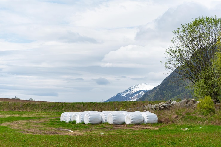 Kostenlose Foto skjolden norwegen 16. mai 2023 berg