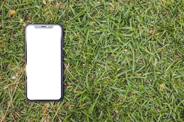 Smartphone mit leerem Bildschirm auf Gras