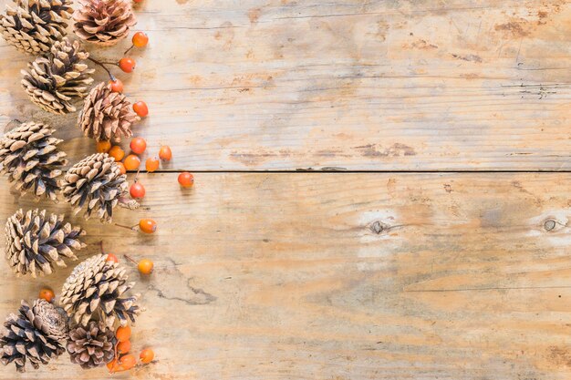 Snags und Beeren auf Holz