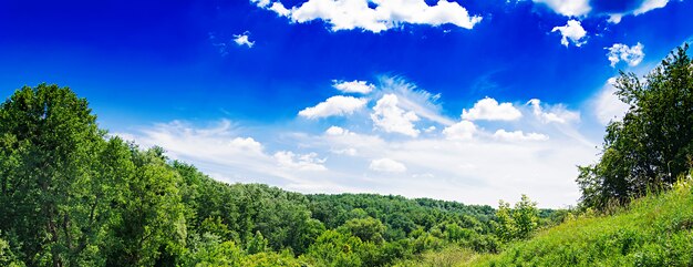 Sommerfeld gegen den blauen Himmel. Schöne Landschaft. Banner