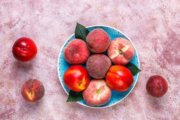 Sommerfrüchte: Feigenpfirsiche, Nektarine und Pfirsiche, Draufsicht