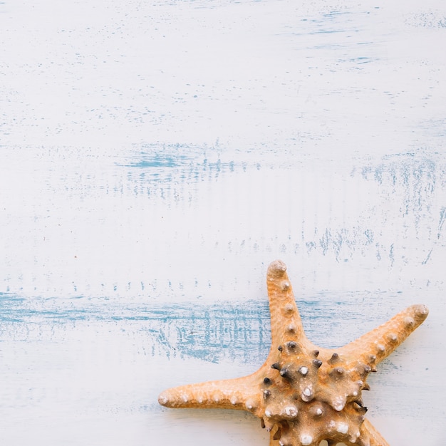 Sommerhintergrund mit Starfish und copyspace