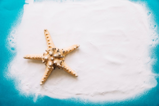 Sommerkonzept mit Starfish auf Sand