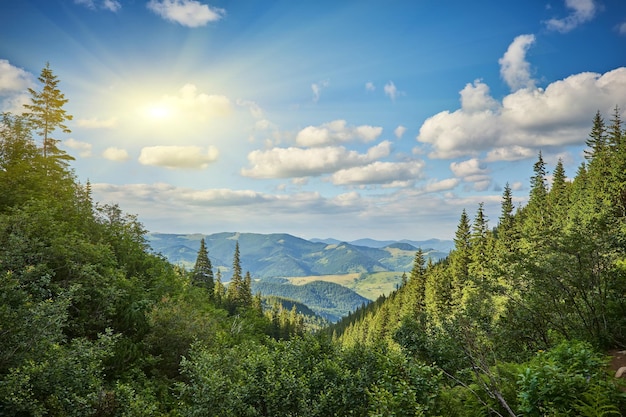 Kostenloses Foto sommerlandschaft in den bergen und im blauen himmel