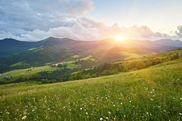 Sommerlandschaft in den Bergen und im blauen Himmel